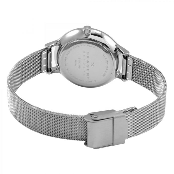 Skagen anita sale steel mesh watch